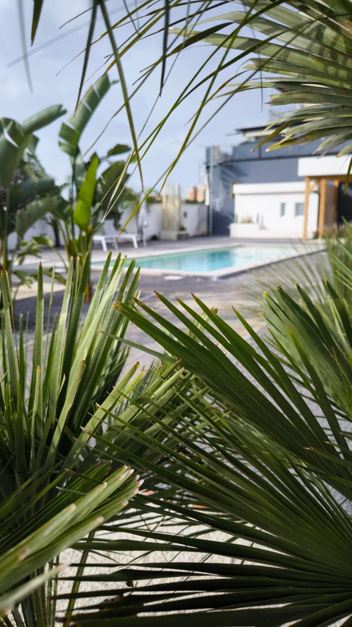 Vistamare Beach Garden Relax San Leone Eksteriør billede